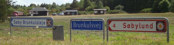 brunkulsvej